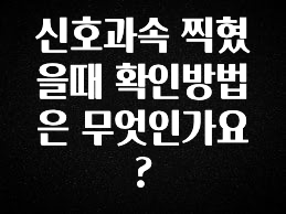 이번 달 신호과속 찍혔을때 확인방법은 무엇인가요? 주목하고 계십니다