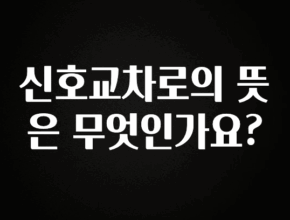 올해 꼭 알아두기 신호교차로의 뜻은 무엇인가요? 좋은 정보