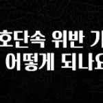 꼭 알아야하는 신호단속 위반 기준은 어떻게 되나요? 알려드릴게요