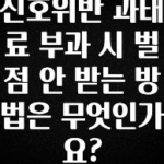 간단뉴스 신호위반 과태료 부과 시 벌점 안 받는 방법은 무엇인가요? 추천드릴게요
