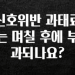 NEW 떳음 신호위반 과태료는 며칠 후에 부과되나요? 소개합니다