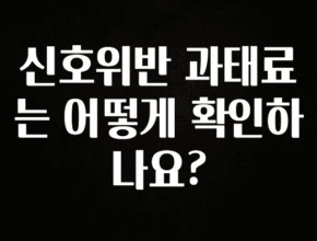 이번 선물은 꼭 신호위반 과태료는 어떻게 확인하나요? 알려드릴게요