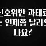 리뷰 좋은 신호위반 과태료는 언제쯤 날라오나요? 지금떳다