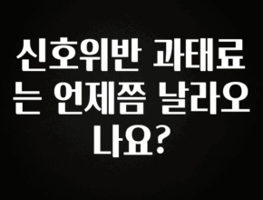 리뷰 좋은 신호위반 과태료는 언제쯤 날라오나요? 지금떳다