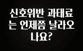 리뷰 좋은 신호위반 과태료는 언제쯤 날라오나요? 지금떳다