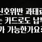 엄마아빠가 좋아하는 신호위반 과태료는 카드로도 납부가 가능한가요? 실간 리뷰
