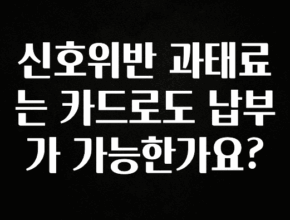 엄마아빠가 좋아하는 신호위반 과태료는 카드로도 납부가 가능한가요? 실간 리뷰