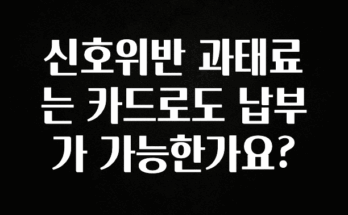 엄마아빠가 좋아하는 신호위반 과태료는 카드로도 납부가 가능한가요? 실간 리뷰
