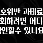 우리도 이렇게하자 신호위반 과태료를 조회하려면 어디서 확인할수 있나요? 바로 클릭