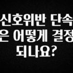 올해 꼭 알아두기 신호위반 단속은 어떻게 결정되나요? 확인해보세요
