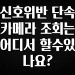 품절이 임박한 신호위반 단속카메라 조회는 어디서 할수있나요? 무조건 확인