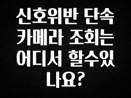 품절이 임박한 신호위반 단속카메라 조회는 어디서 할수있나요? 무조건 확인