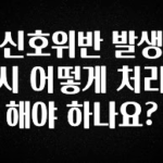 정보 쏟아짐 신호위반 발생시 어떻게 처리해야 하나요? 알짜배기만 골라가세요
