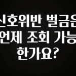 기다렸던 정보 신호위반 벌금은 언제 조회 가능 한가요? 클릭해보세요