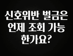 기다렸던 정보 신호위반 벌금은 언제 조회 가능 한가요? 클릭해보세요