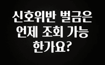 기다렸던 정보 신호위반 벌금은 언제 조회 가능 한가요? 클릭해보세요