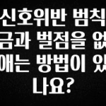 엄마아빠가 좋아하는 신호위반 범칙금과 벌점을 없애는 방법이 있나요? 꼭 확인해보세요