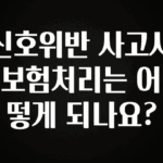 모두가 궁금했던 신호위반 사고시 보험처리는 어떻게 되나요? 확인해보세요