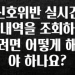 별다섯개 신호위반 실시간 내역을 조회하려면 어떻게 해야 하나요? 알짜배기만 골라가세요