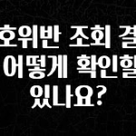 안보면 손해인 이유? 신호위반 조회 결과는 어떻게 확인할수 있나요? 확인해보세요