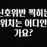 이건”꼭” 알아보자 신호위반 찍히는 위치는 어디인가요? 요약본만 확인해보세요