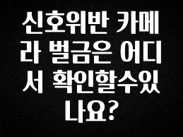 인플루언서가 공개한 신호위반 카메라 벌금은 어디서 확인할수있나요? 바로 소개합니다.