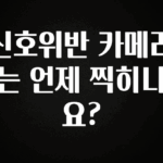 +최신 소식 신호위반 카메라는 언제 찍히나요? 확인해보세요