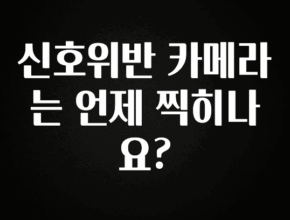 +최신 소식 신호위반 카메라는 언제 찍히나요? 확인해보세요