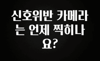 +최신 소식 신호위반 카메라는 언제 찍히나요? 확인해보세요