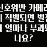 MZ세대 “주목” 신호위반 카메라에 적발되면 벌점이 얼마나 부과되나요? 확인해보세요