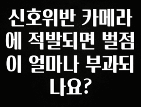 MZ세대 “주목” 신호위반 카메라에 적발되면 벌점이 얼마나 부과되나요? 확인해보세요