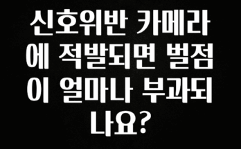 MZ세대 “주목” 신호위반 카메라에 적발되면 벌점이 얼마나 부과되나요? 확인해보세요