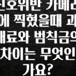인플루언서가 공개한 신호위반 카메라에 찍혔을때 과태료와 범칙금의 차이는 무엇인가요? 소개합니다
