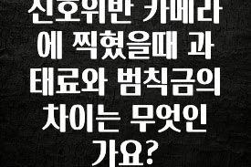 인플루언서가 공개한 신호위반 카메라에 찍혔을때 과태료와 범칙금의 차이는 무엇인가요? 소개합니다