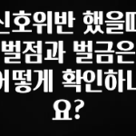 금주의 인기 신호위반 했을때 벌점과 벌금은 어떻게 확인하나요? 소개합니다
