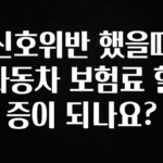 드디어 다음주에 공개 신호위반 했을때 자동차 보험료 할증이 되나요? 아주 좋은 정보입니다
