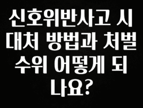 역대급 라인업 신호위반사고 시 대처 방법과 처벌 수위 어떻게 되나요? 알려드릴게요