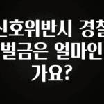정보 쏟아짐 신호위반시 경찰 벌금은 얼마인가요? 요약정리