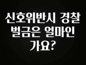 정보 쏟아짐 신호위반시 경찰 벌금은 얼마인가요? 요약정리