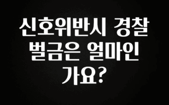 정보 쏟아짐 신호위반시 경찰 벌금은 얼마인가요? 요약정리