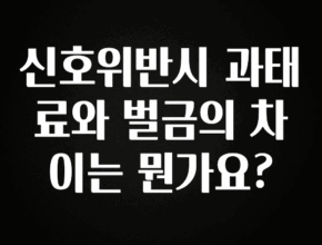 주목 신호위반시 과태료와 벌금의 차이는 뭔가요? 실시간 리뷰입니다