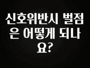 역대급 라인업 신호위반시 벌점은 어떻게 되나요? 리뷰 해보겠습니다