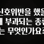 꼭 써야하는 신호위반을 했을 때 부과되는 종류는 무엇인가요? 리뷰가 많습니다