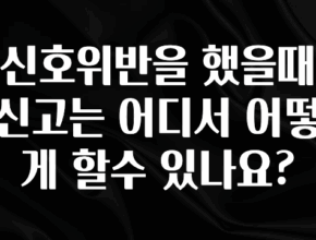 sns소식 신호위반을 했을때 신고는 어디서 어떻게 할수 있나요? 클릭해보세요