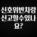 추천드려야할 소식 신호위반차량 신고할수있나요? 최신정보