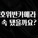 추가정보 떳다 신호위반카메라 단속 됐을까요? 1분이면 확인가능 합니다