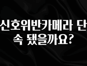 추가정보 떳다 신호위반카메라 단속 됐을까요? 1분이면 확인가능 합니다