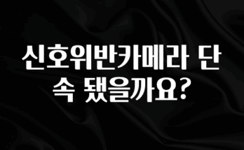 추가정보 떳다 신호위반카메라 단속 됐을까요? 1분이면 확인가능 합니다