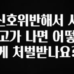 “꼭”저장해두세요 신호위반해서 사고가 나면 어떻게 처벌받나요? 놓치지마세요