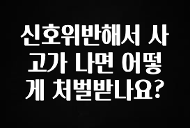 “꼭”저장해두세요 신호위반해서 사고가 나면 어떻게 처벌받나요? 놓치지마세요
